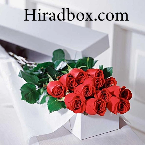 جعبهگل جذب مخاطب خاص